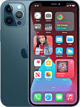 Best available price of Apple iPhone 12 Pro Max in Russia
