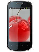 Best available price of Celkon A19 in Russia