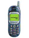 Best available price of Motorola T190 in Russia