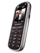 Best available price of Motorola WX288 in Russia