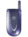 Best available price of Motorola V66i in Russia